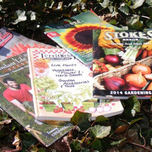 Seeds Made Just For Me
